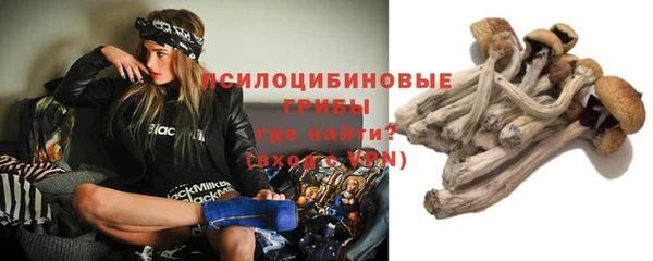 сатива Заволжск