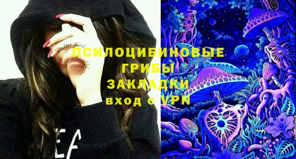 сатива Заволжск