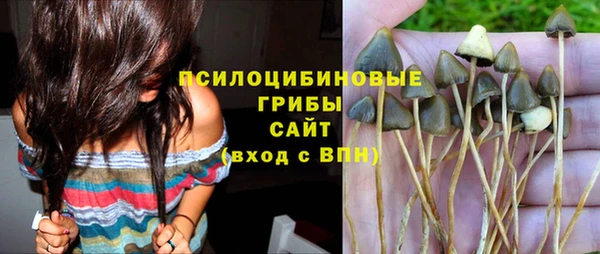 первитин Пролетарск
