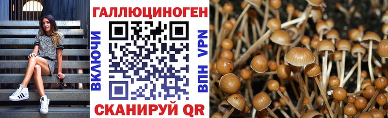 Псилоцибиновые грибы мухоморы  Купить закладки  Зеленодольск 